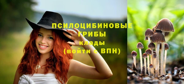 мет Бородино
