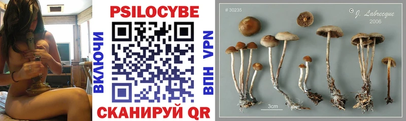 Галлюциногенные грибы ЛСД Гусь-Хрустальный
